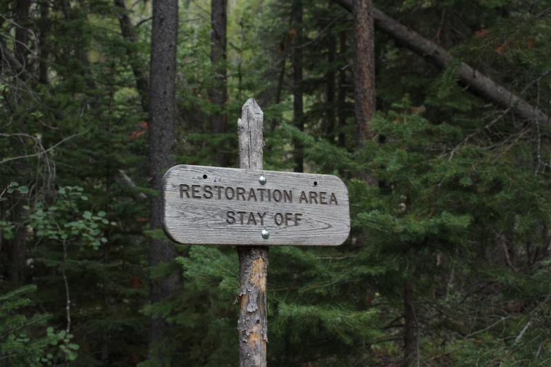 restoration area sign forest
