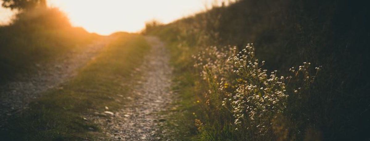 Path Of The Freelancer Website Launch