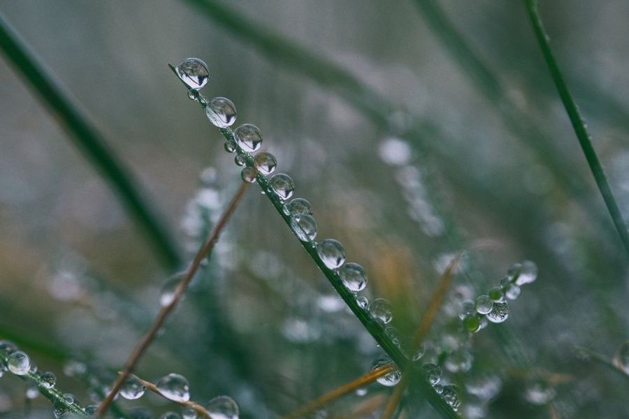 My Reflections After 44 Days Of Weekday Blogging