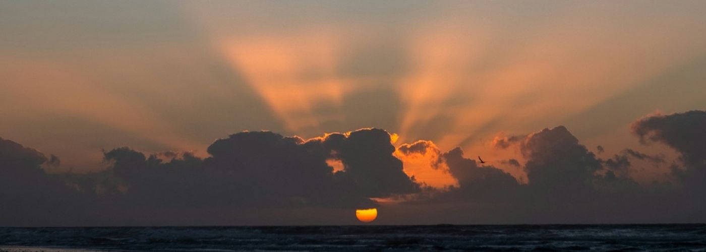 horizon, sunset