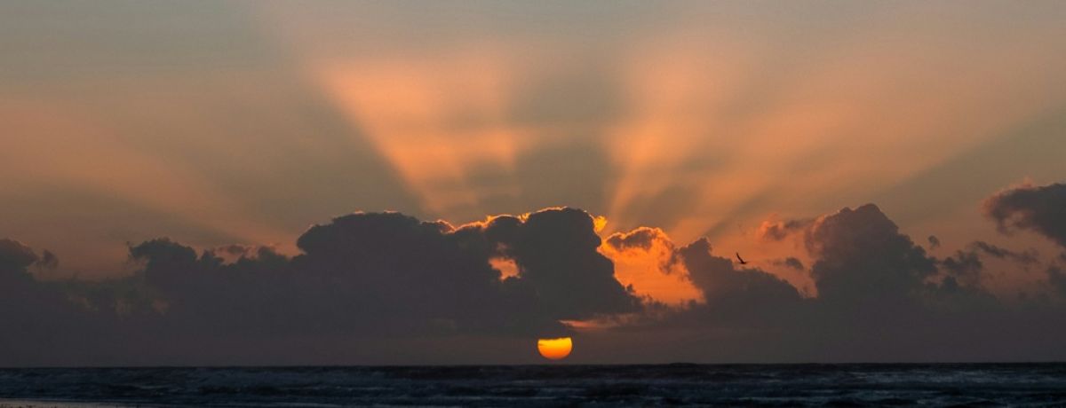 horizon, sunset
