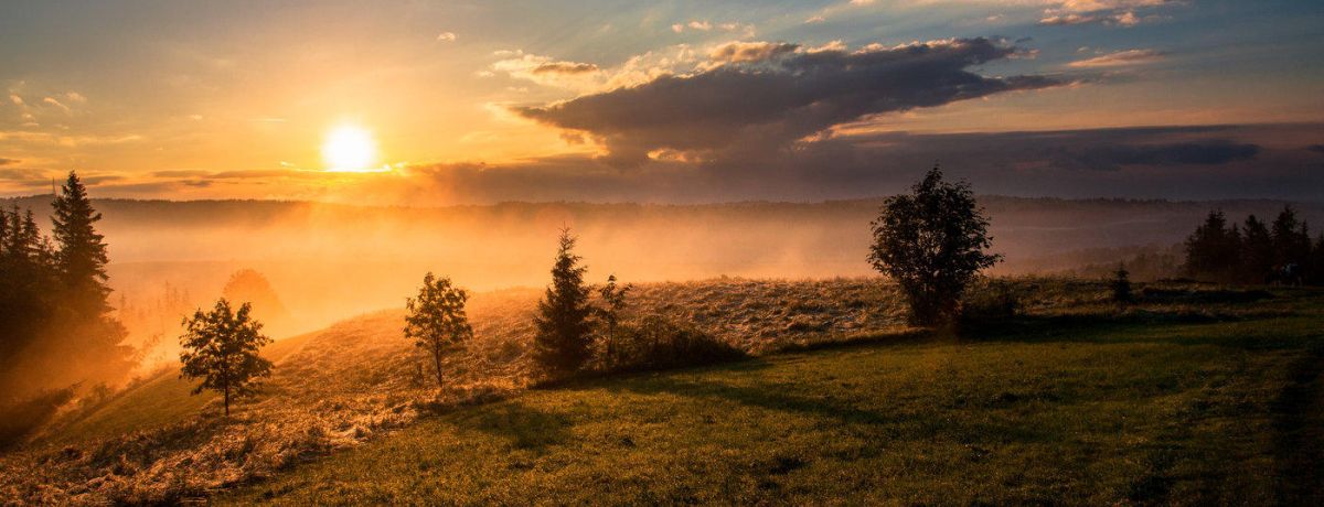 morning sunrise, outdoors, trees, grass, sky