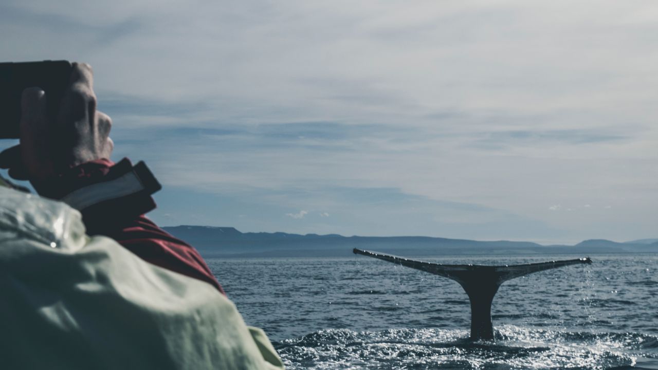 Why I Impose A Cap On How Much A Client Can Work With Me