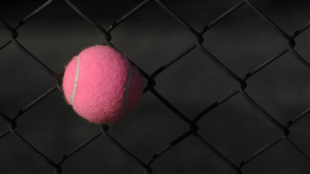 Pink Tennis Ball Stuck In The Fence