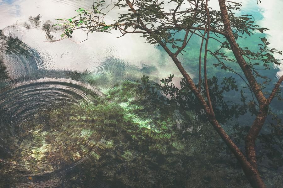 Water Reflection With Ripples