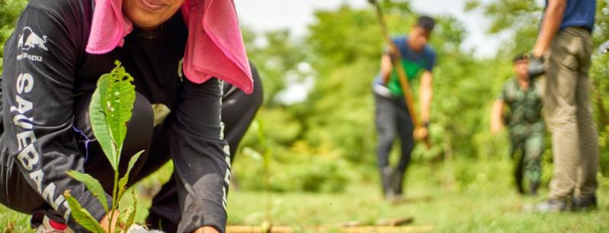 woman gardening