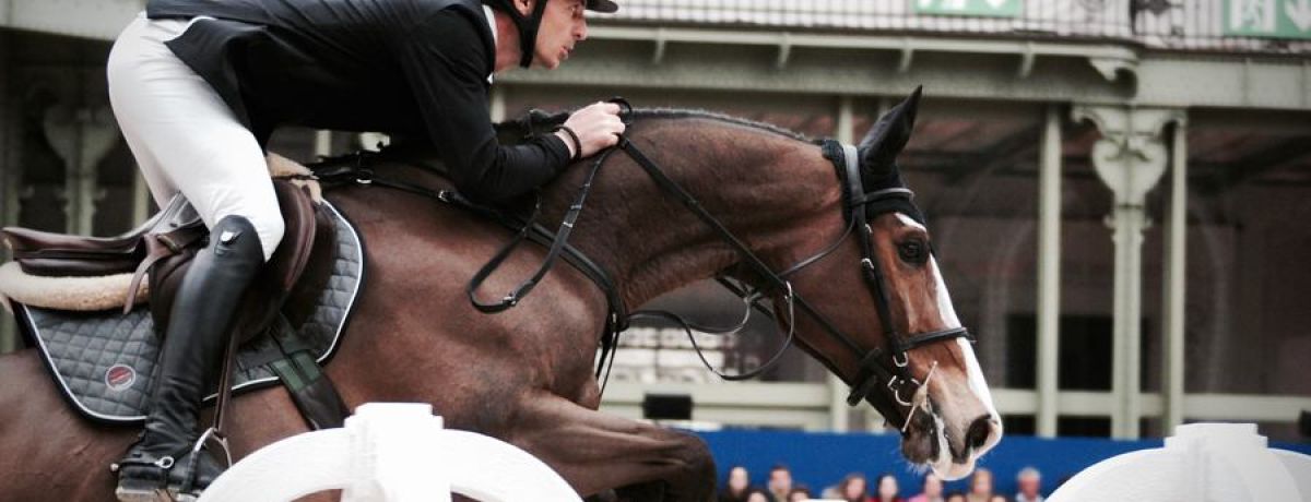 Man Riding A Horse With Saddle - Blogging 2018