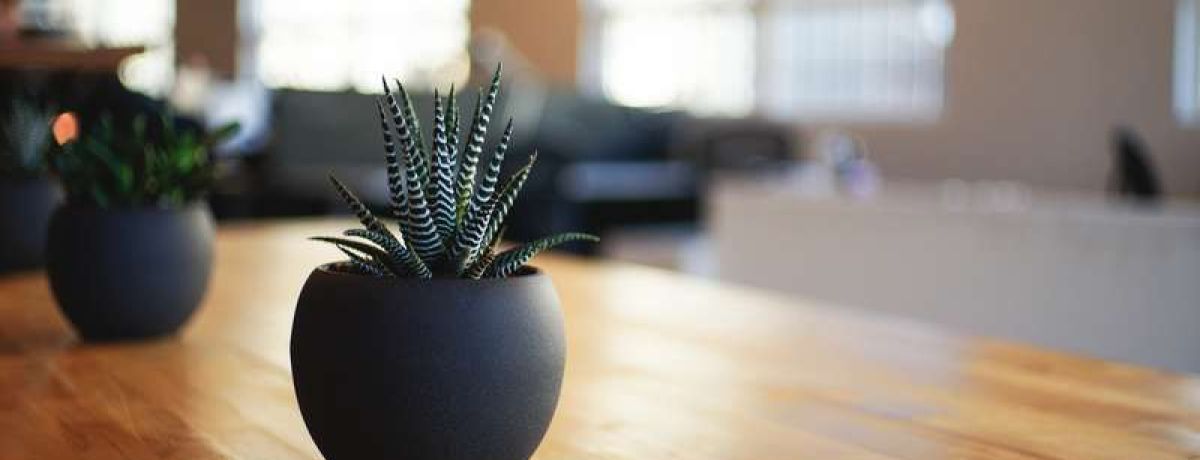 Four Simple But Powerful Ways To Make Our Home & Work Better