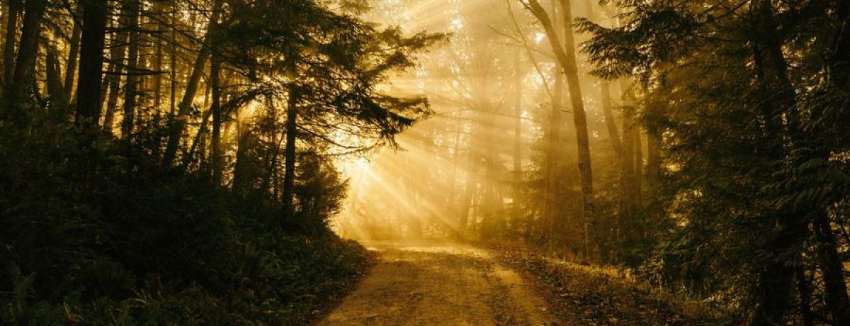 The Book Is Now Available On Amazon! Have You Bought A Freelancer A Copy?