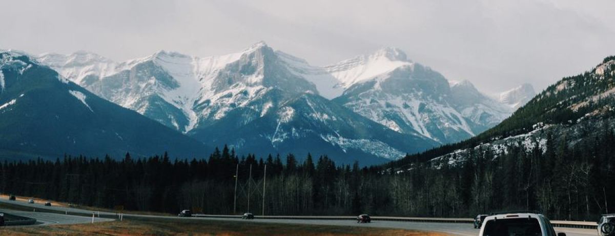 This Simple Metaphor Will Give You And Your Team Clarity On Roles And Responsibilities