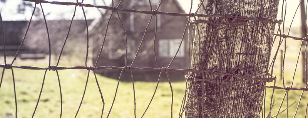 The Cellar Journey Part 1