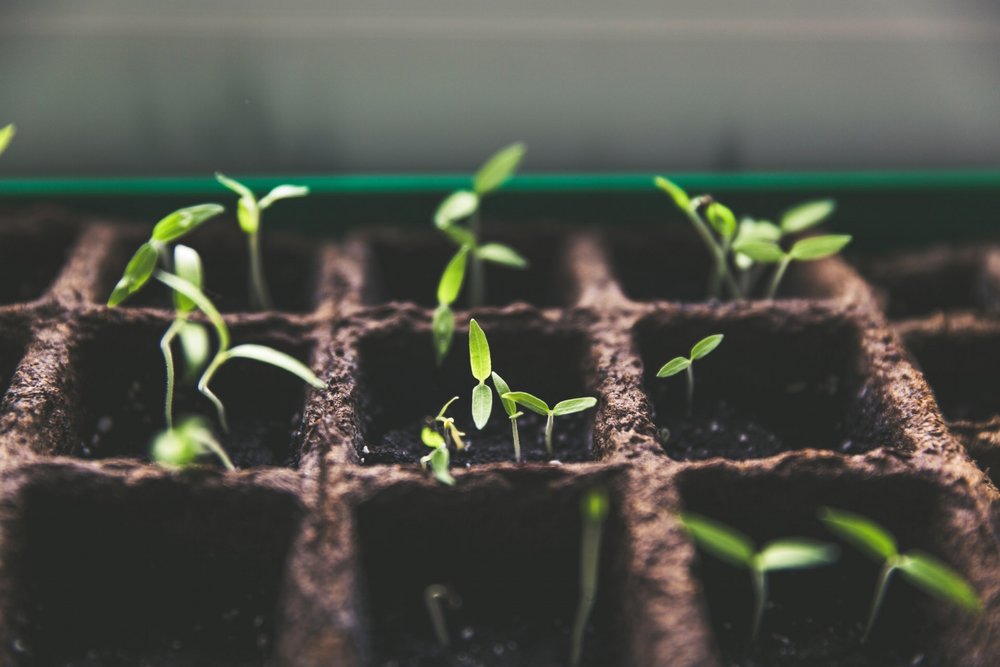 Three Ways to Boost your Sales Effectiveness