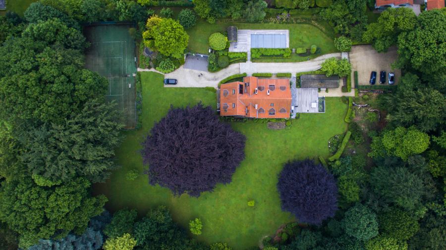 Are Your Trimming Hedges When You've Been Asked To Mow The Lawn?