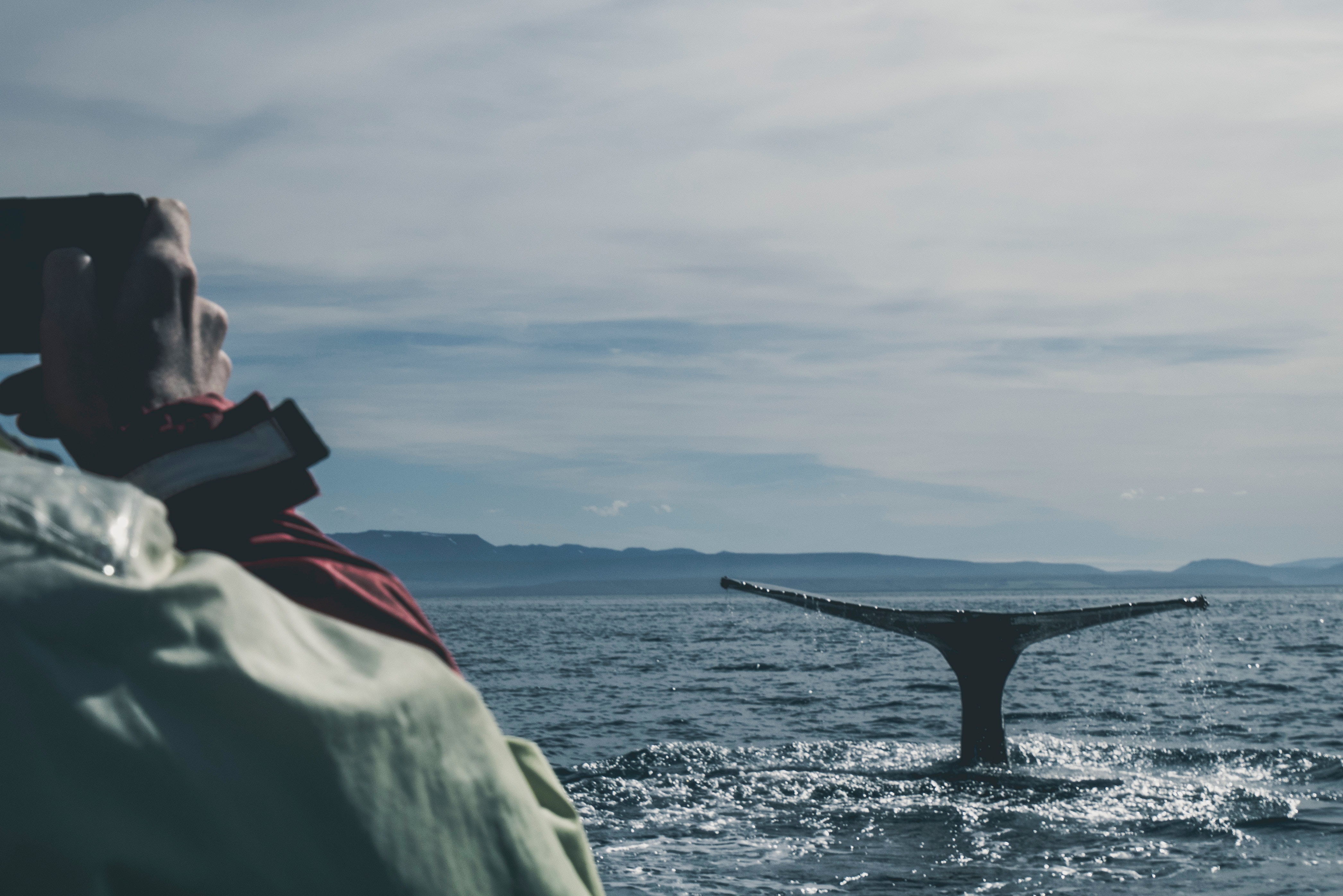 Why I Impose A Cap On How Much A Client Can Work With Me