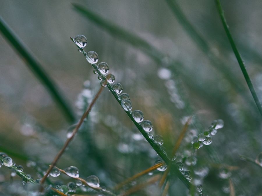 My Reflections After 44 Days Of Weekday Blogging