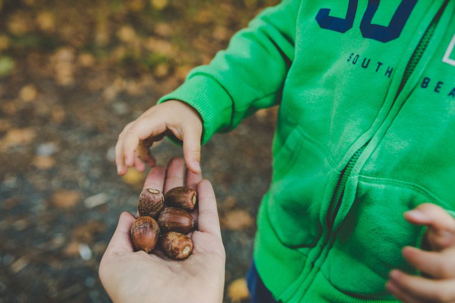 Core Values Acorns With Kid