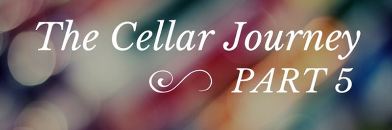 As I Swam Towards The Door - The Cellar Journey Part 5