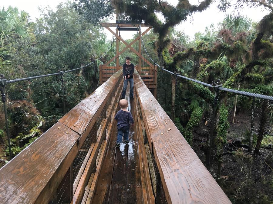 Florida State Park Canopy Bridge Forest