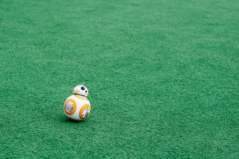 BB8 On Green Grass