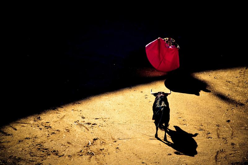 Matador Bull Fighter