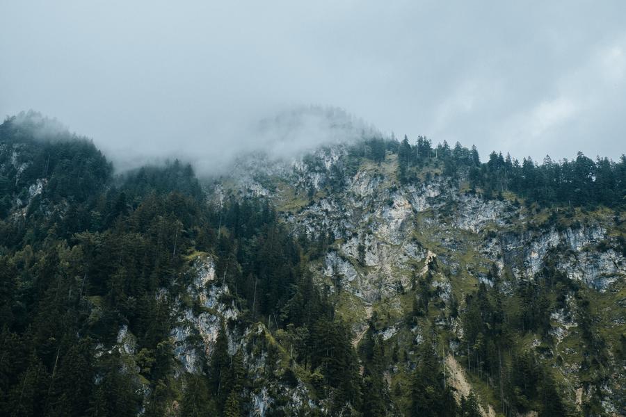misty mountain with trees