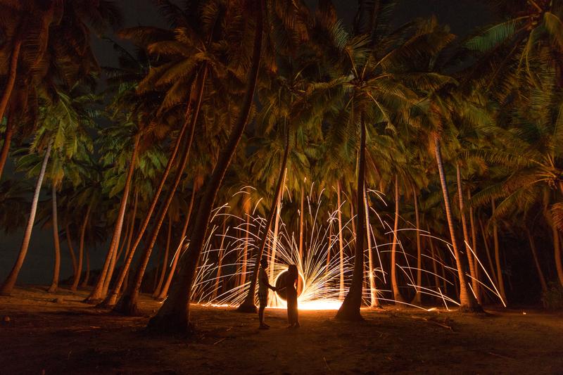 Night sparks and fire in forest