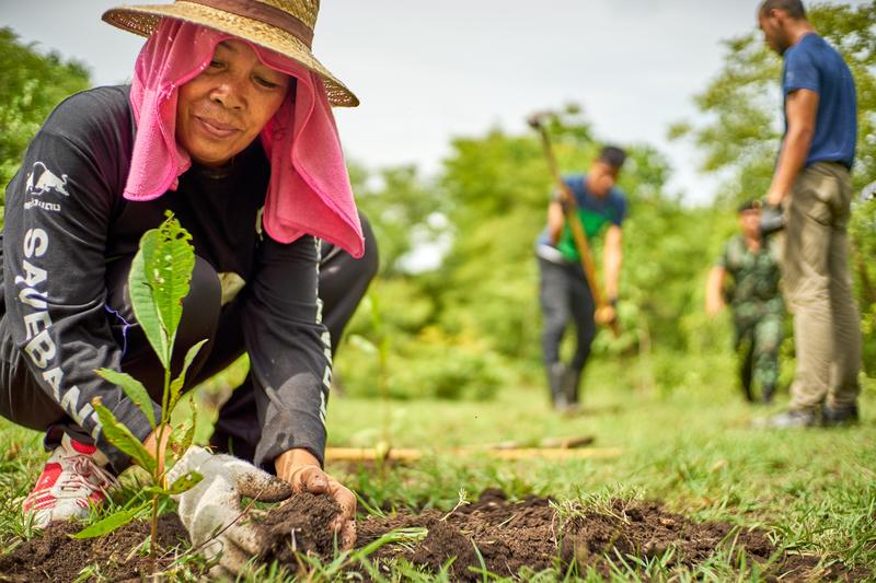 woman gardening
