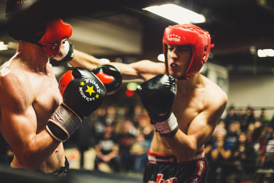 two boxers training