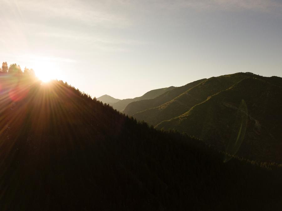 sun light on the hill