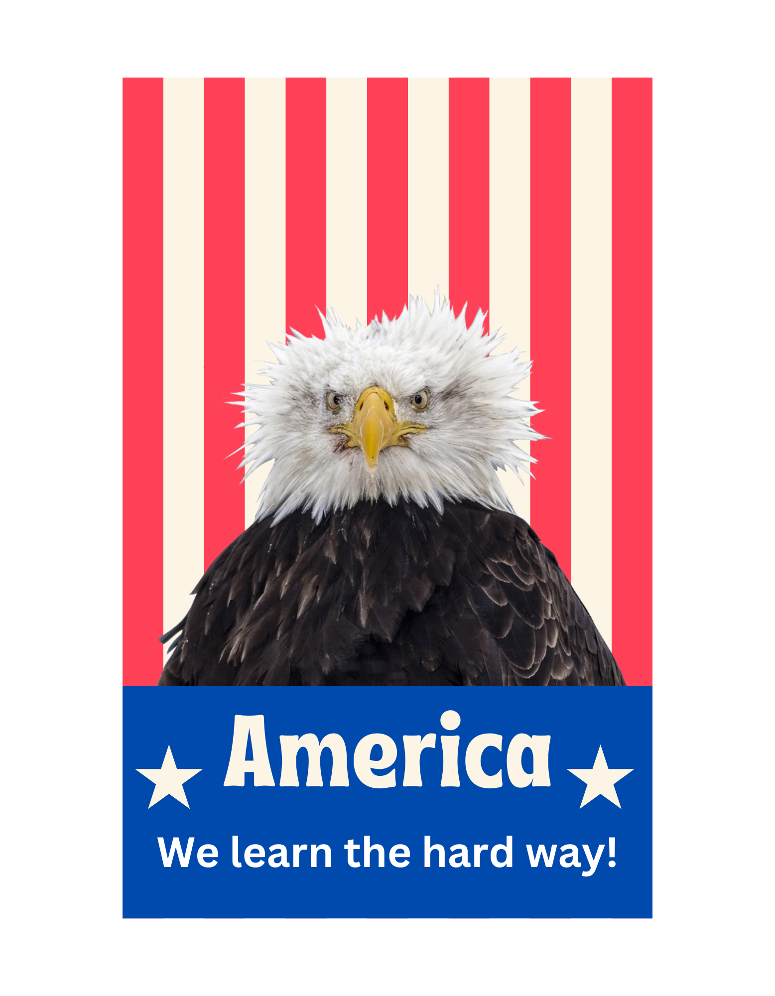 america, we learn the hard way