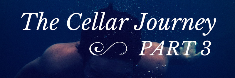 The Cellar Journey Part 3