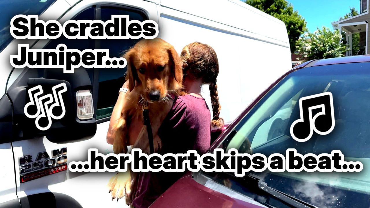 juniper and jones song