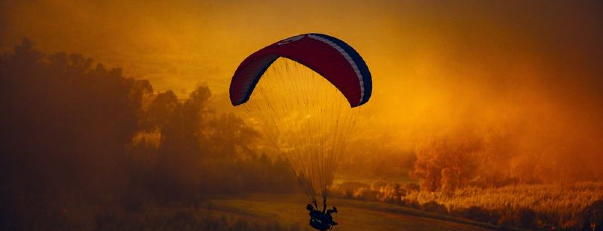 2016: Another Year In The Books