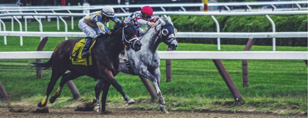 This One (Additional) Ingredient Helps Finishes Your Blog Well