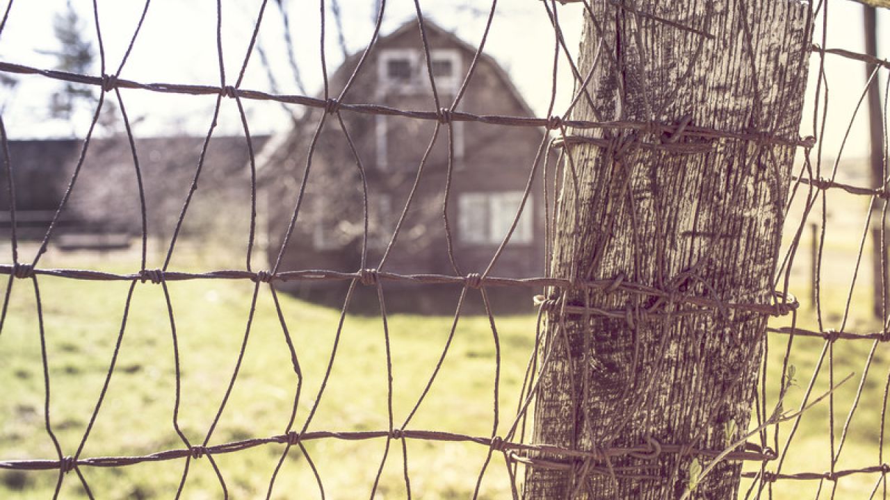 The Cellar Journey Part 1