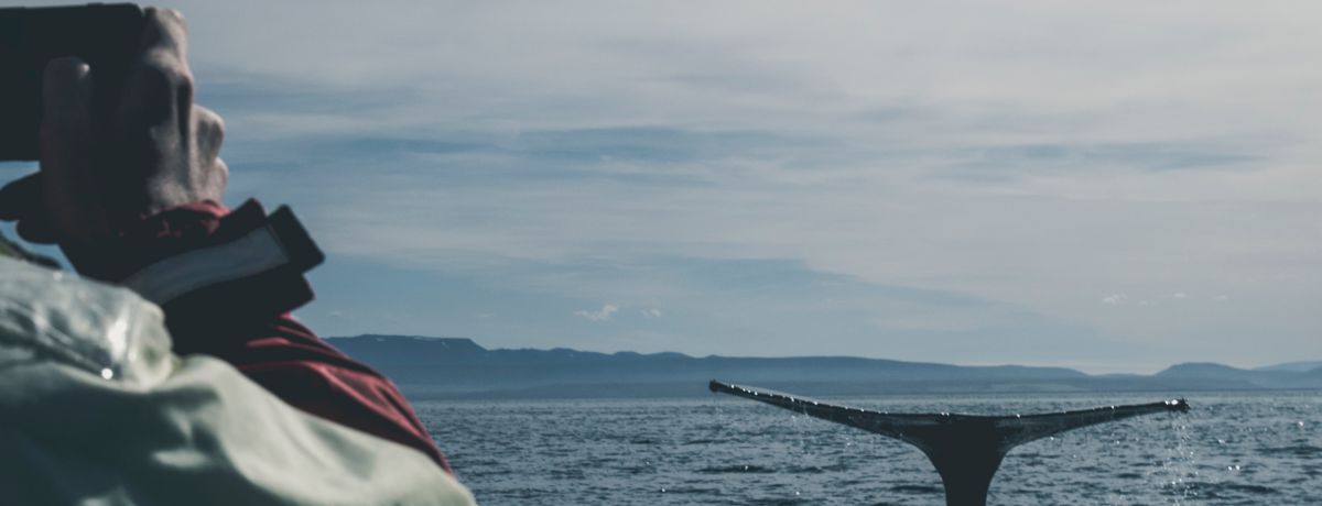 Why I Impose A Cap On How Much A Client Can Work With Me