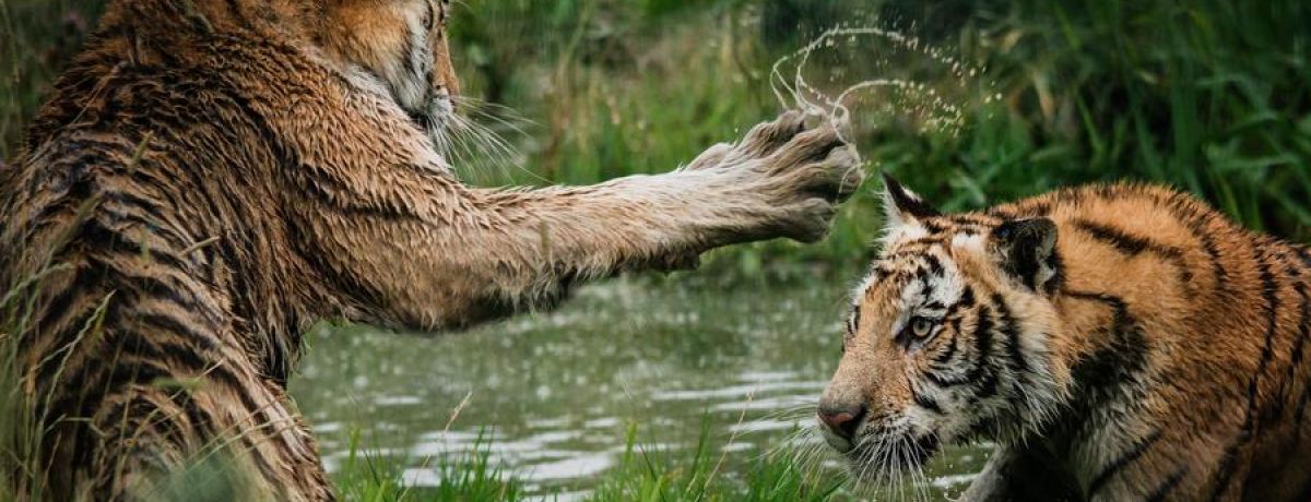 Don't Join The Harassment, Stand Up Against It