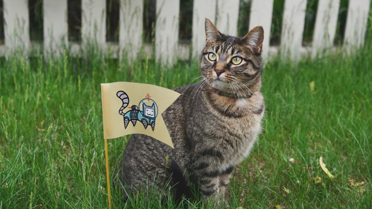 We Need To Take Initiative Because Leadership Development Doesn't Just Happen