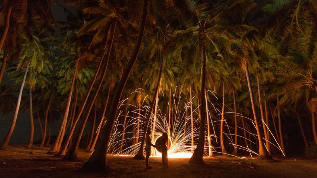 Night sparks and fire in forest