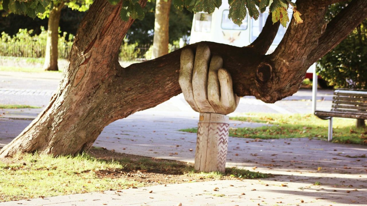 hand holding a tree up