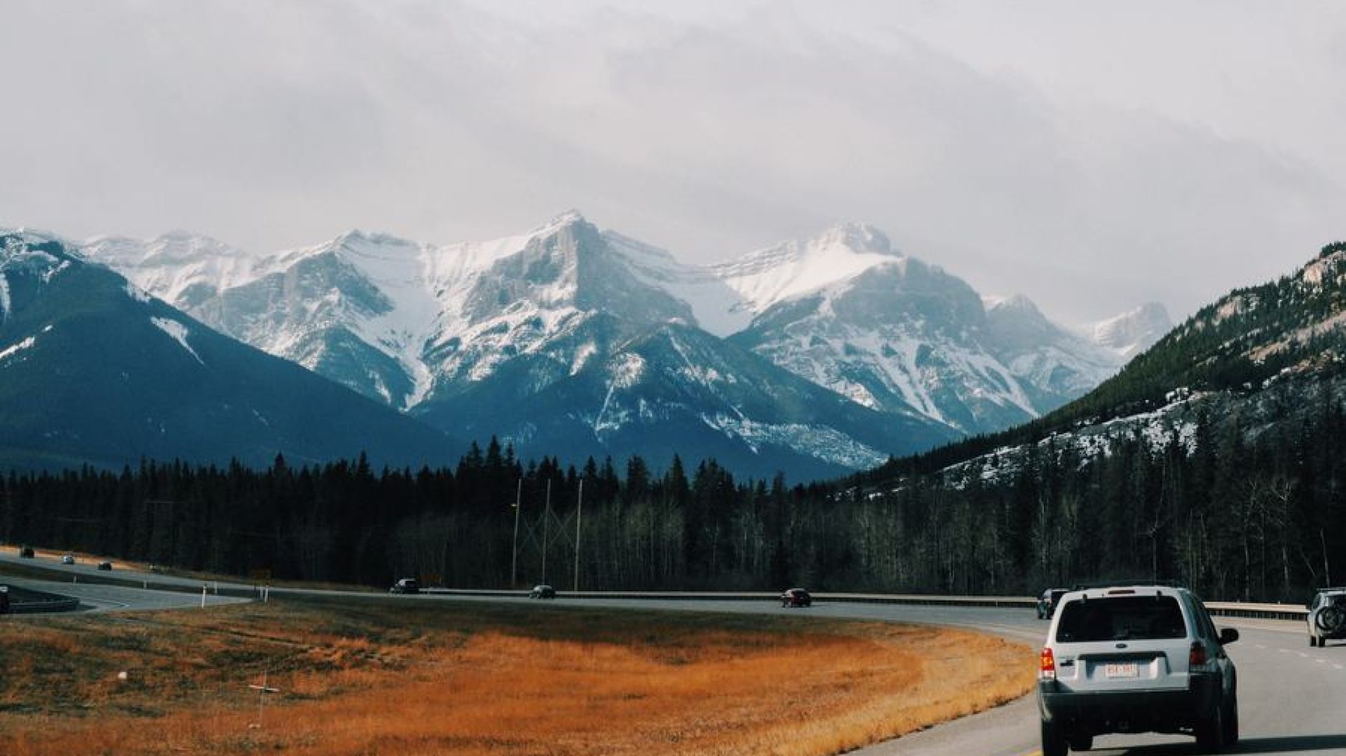 This Simple Metaphor Will Give You And Your Team Clarity On Roles And Responsibilities