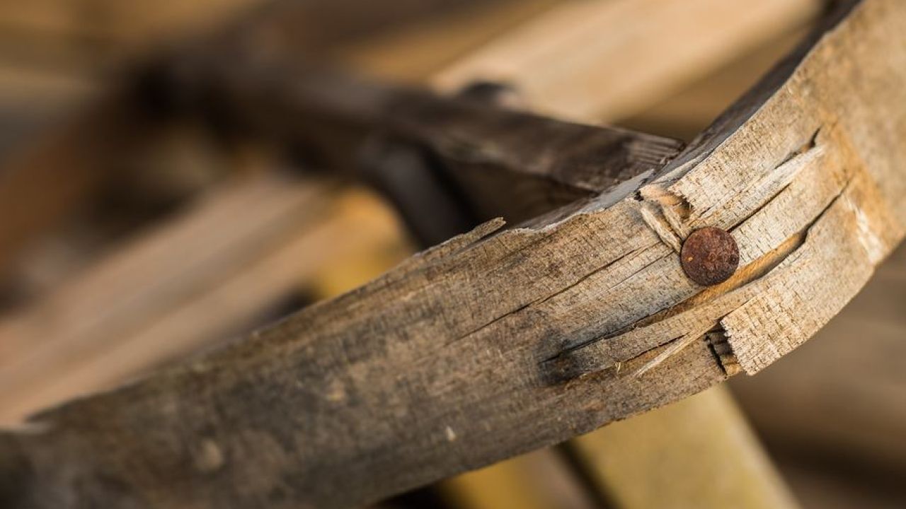 The 'Splinter Effect': Wounds, Pain & Healing