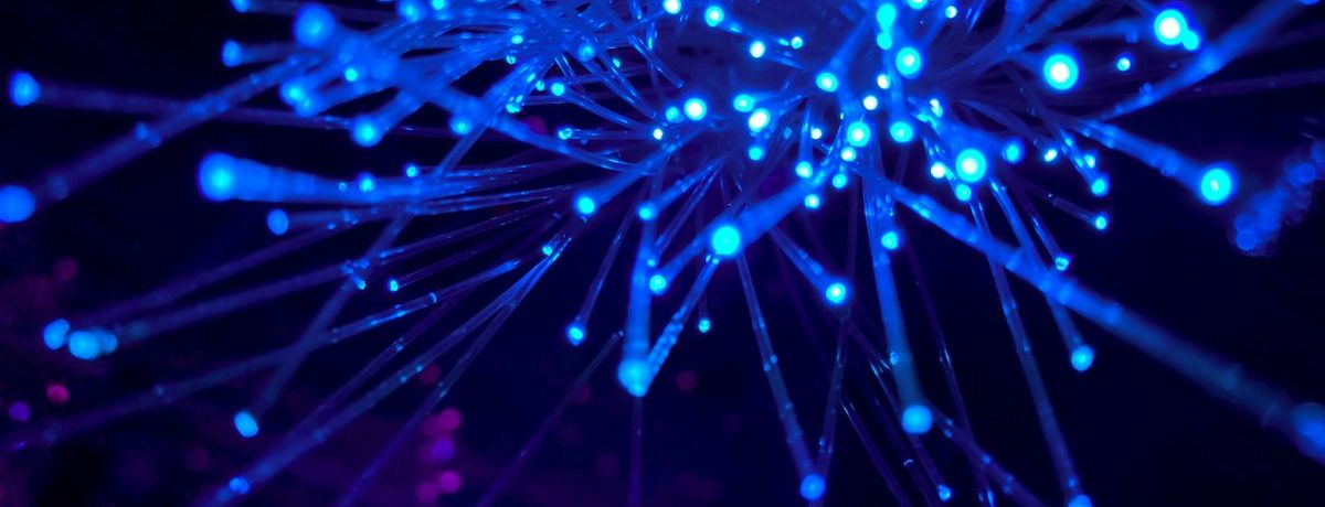network connections