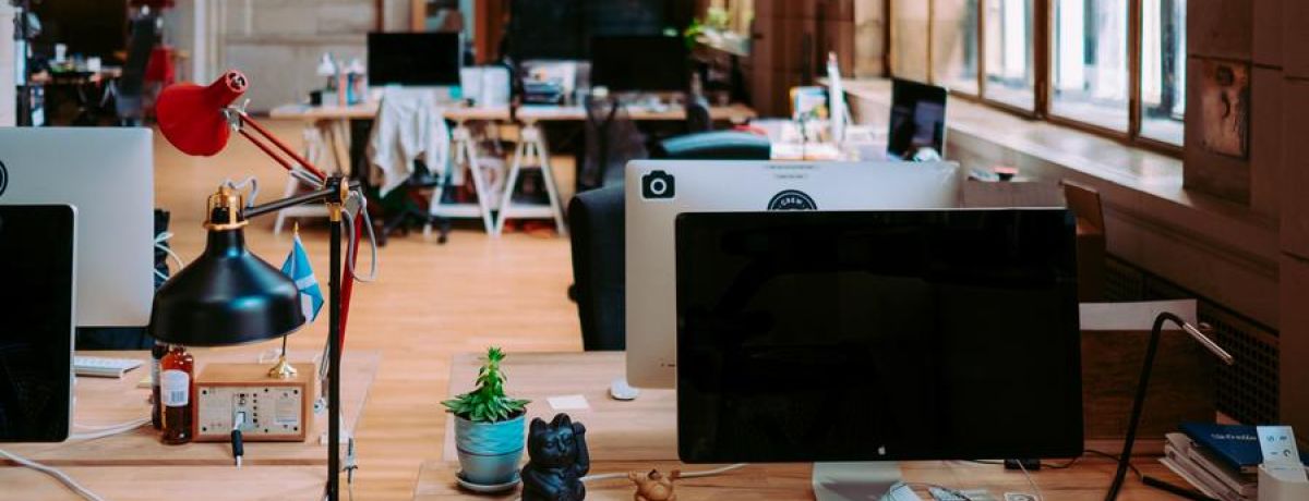 What Are The Five Stages Of Every Organization?