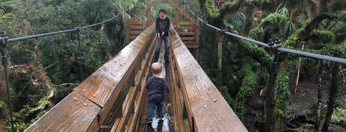 Florida State Park Canopy Bridge Forest