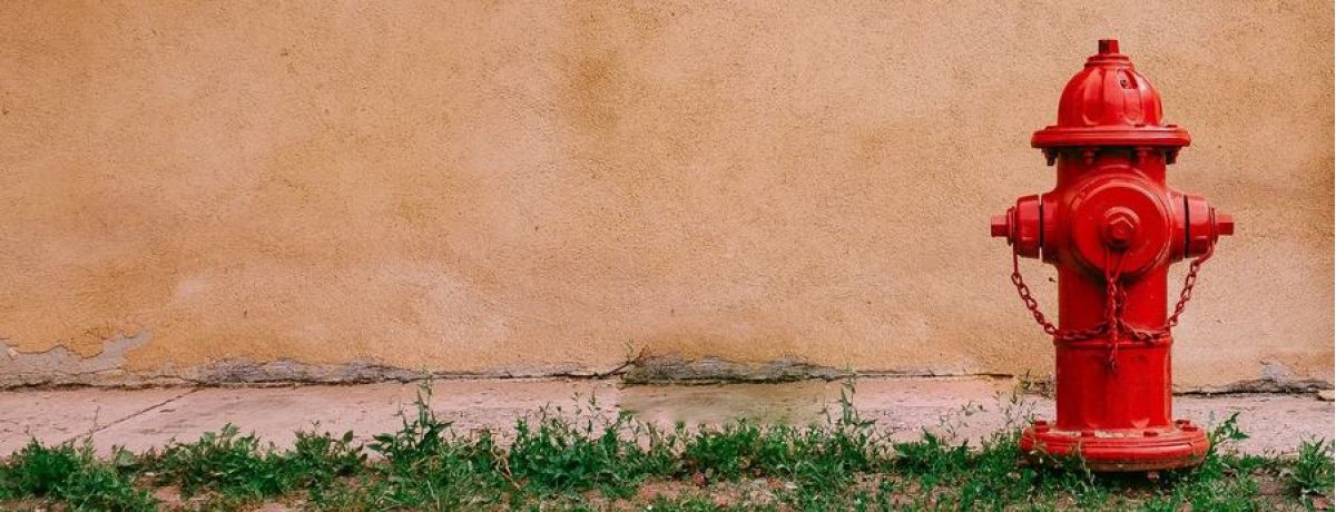 How My Company Getting Fired Got Me Into This Leadership Effectiveness Growth Program