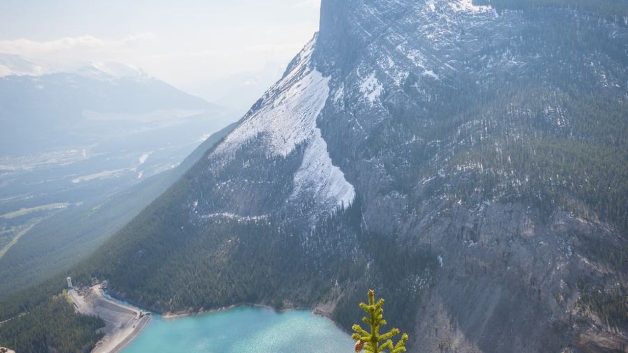 Couple on mountainside looking up to the peak