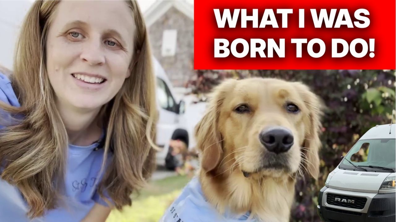 cait montoya, juniper and jones, golden retriever, born to do this