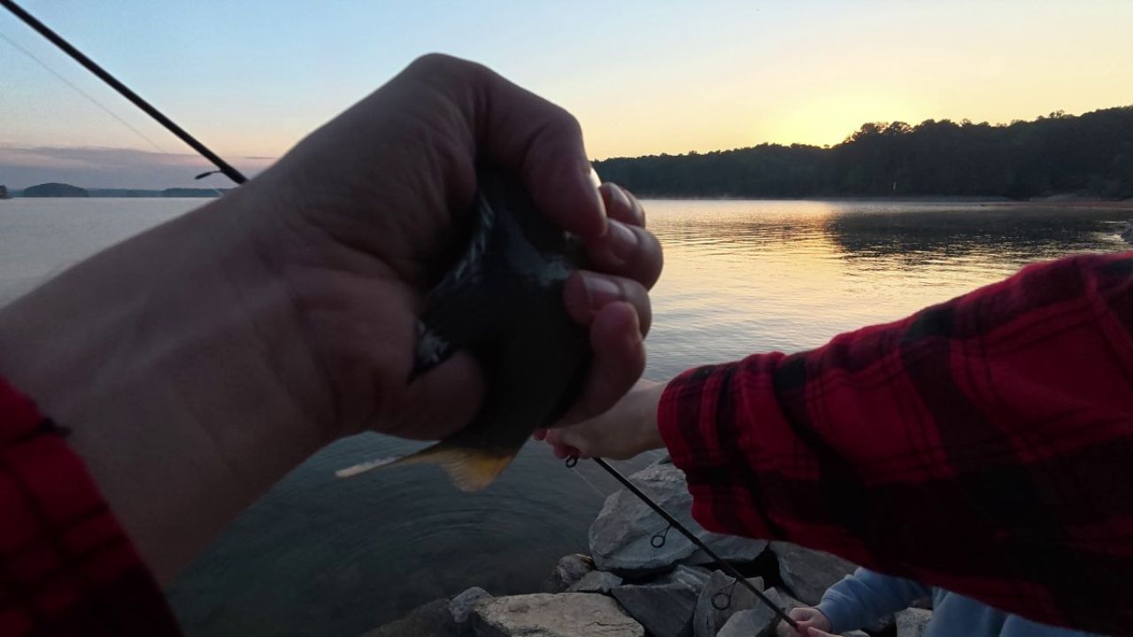 holding a fish, saddle dike 3