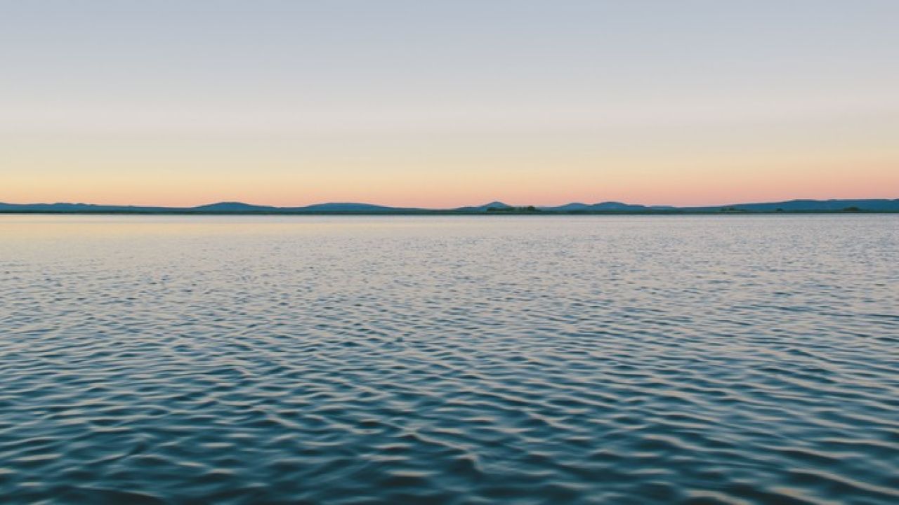 Take Your First Step Towards Saving